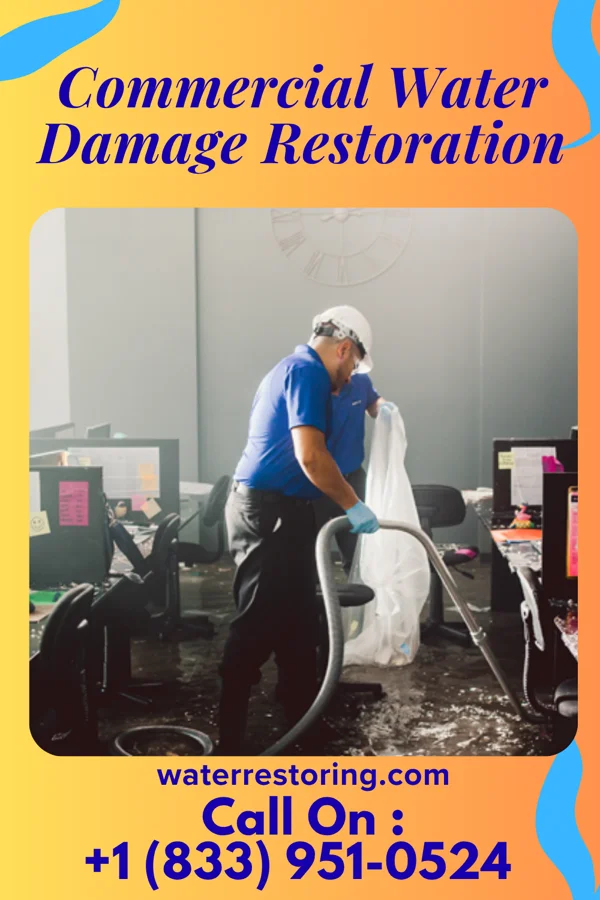 Commercial Water Damage Restoration in Peotone, IL