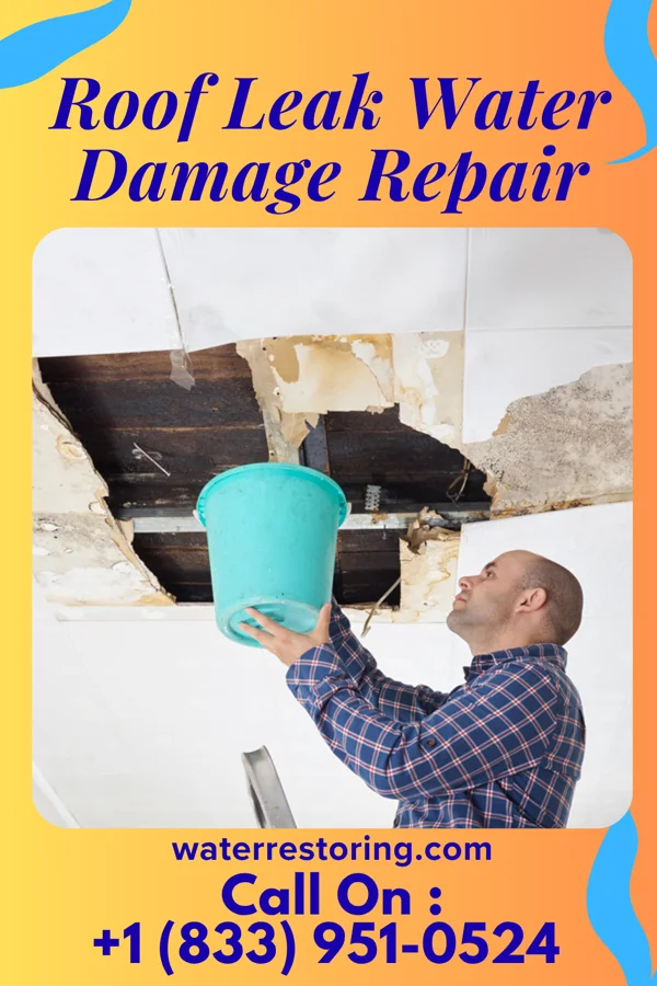 Roof Leak Water Damage Repair in Peotone, IL